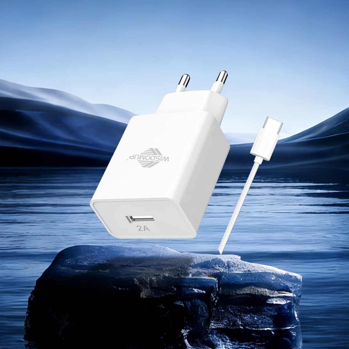 OCD-21TFast Charger