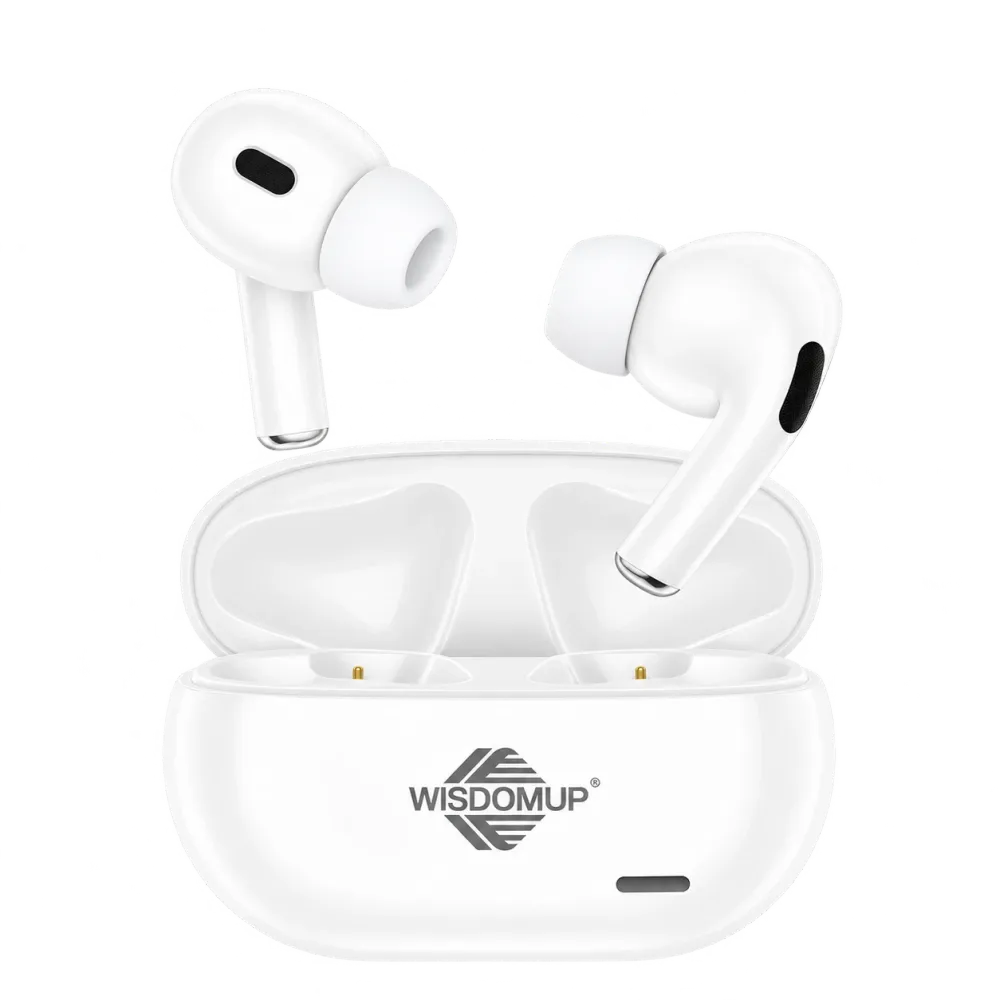 TS-11 True Wireless Earbuds