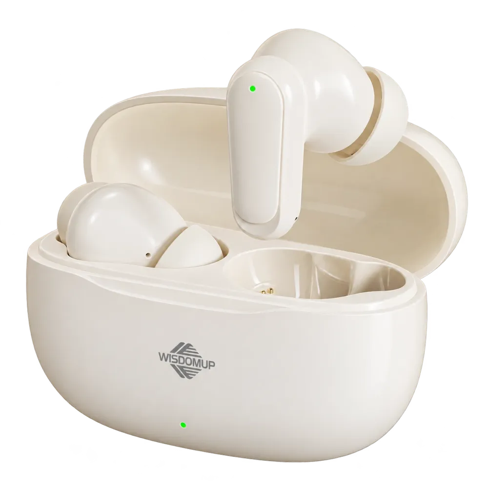 TS-13 True Wireless Earbuds