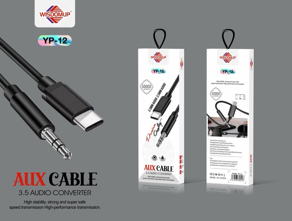 YP-12 USB-C to AUX Car Cable