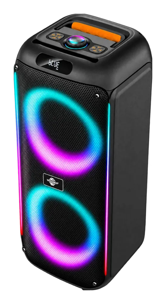 YX-24 Dual 6.5-inch Party Speaker