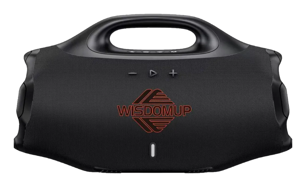 YX-31 220W Party Speaker with LED Lights